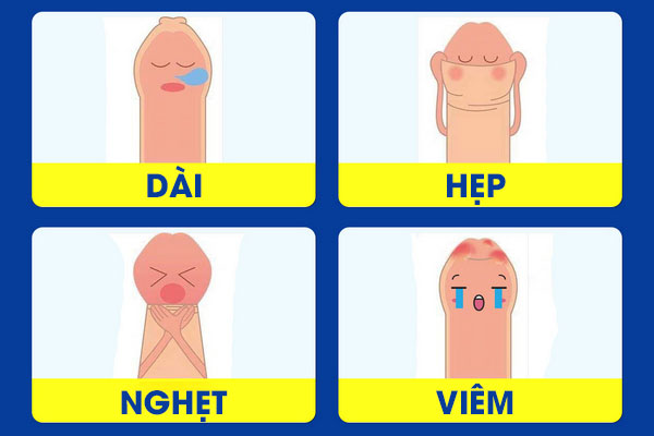 Các bệnh bao quy đầu thường gặp nam giới không nên bỏ qua